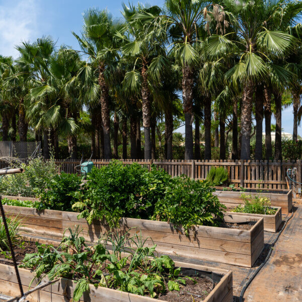 finca amapola gartenanbau 30 06 26 014